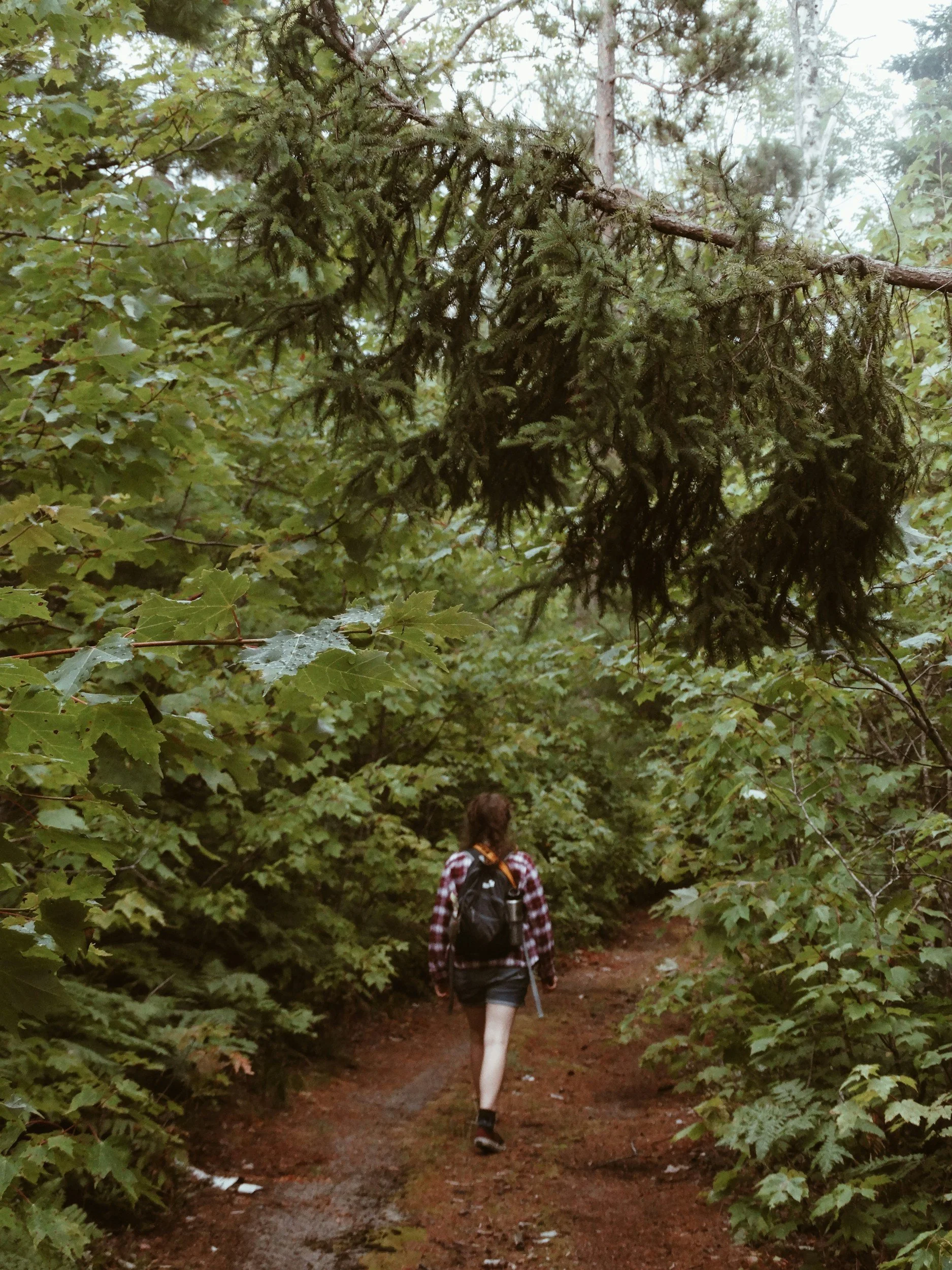 Coastal Women's Hike