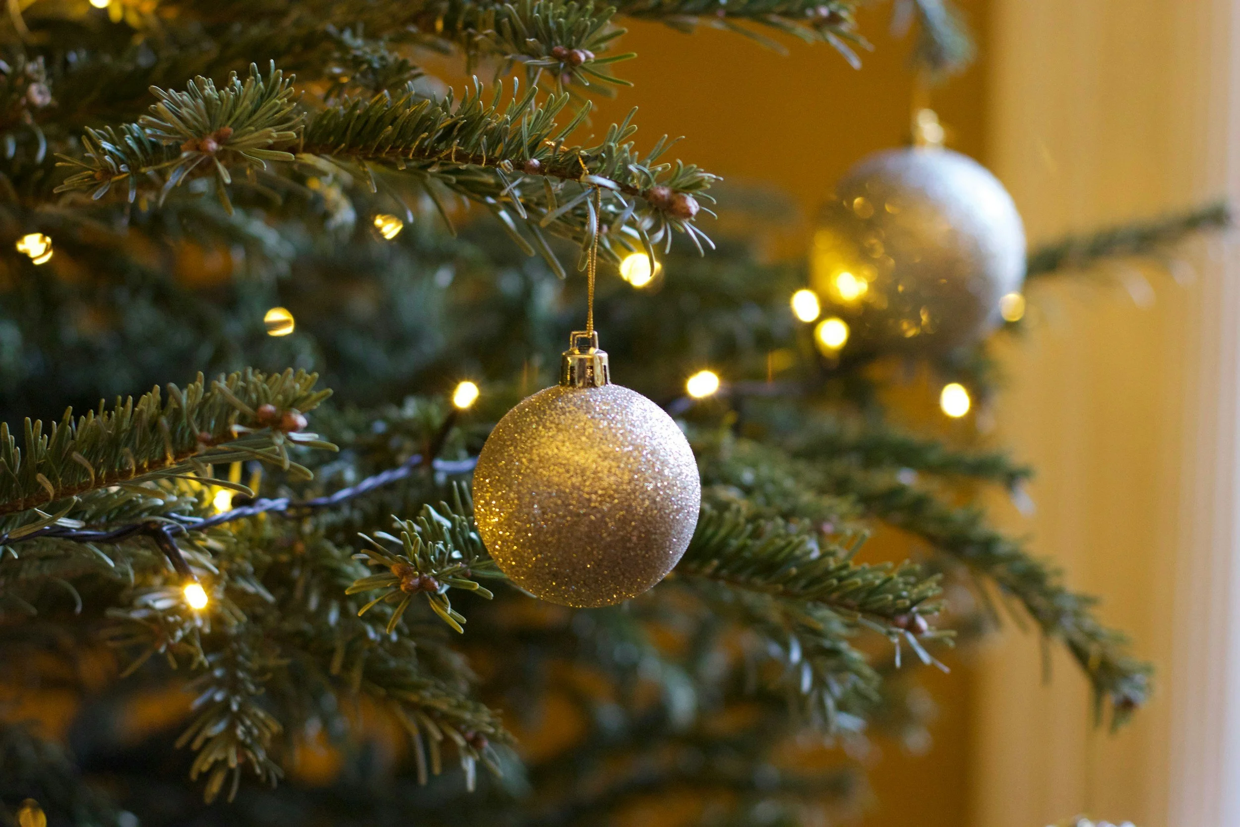 Help the staff decorate for Christmas