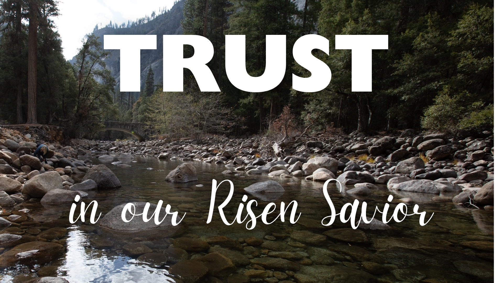 TRUST.png
