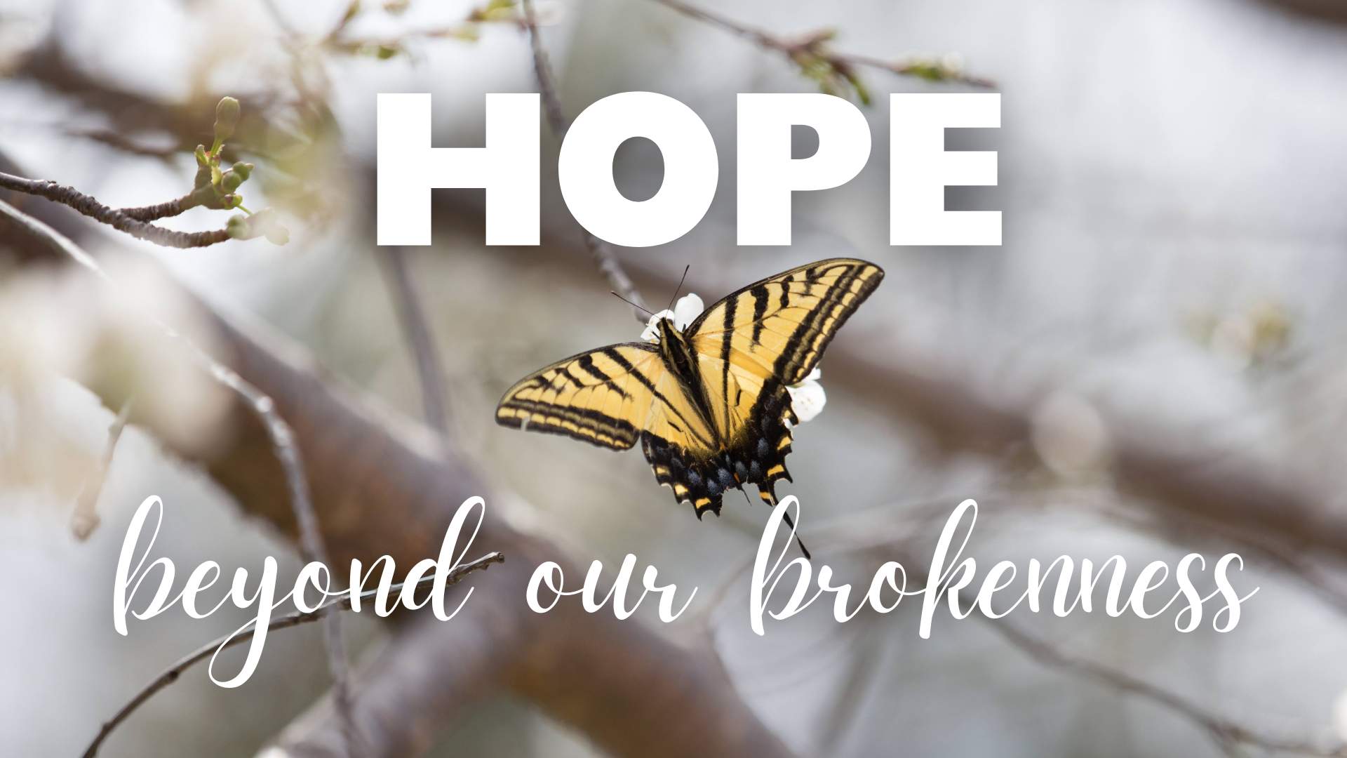 HOPE.png