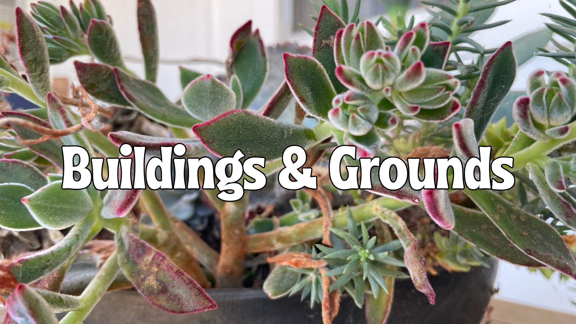 Buildings & Grounds.png