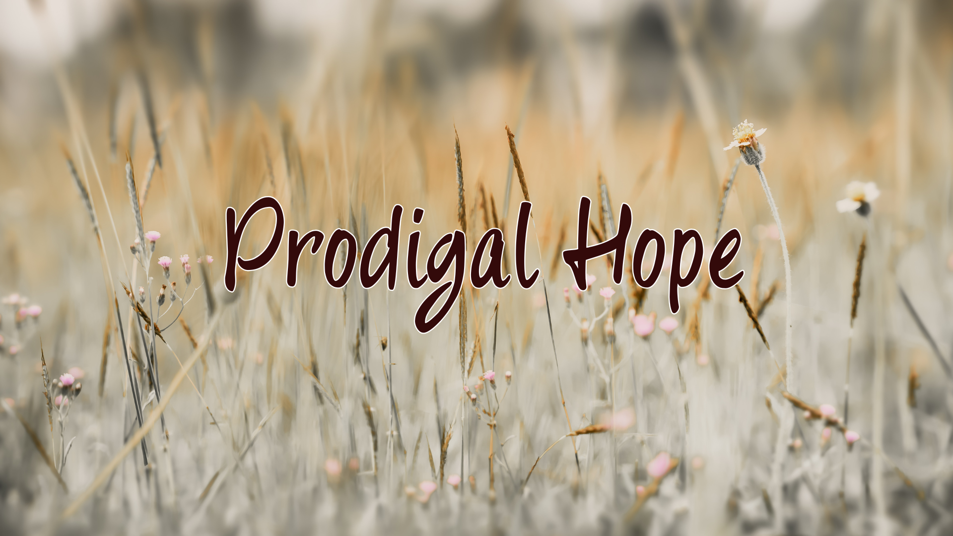 Prodigal Hope- First meeting