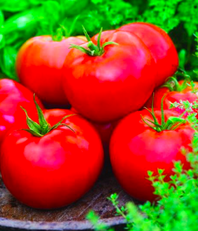 Tomatoes Big Boy