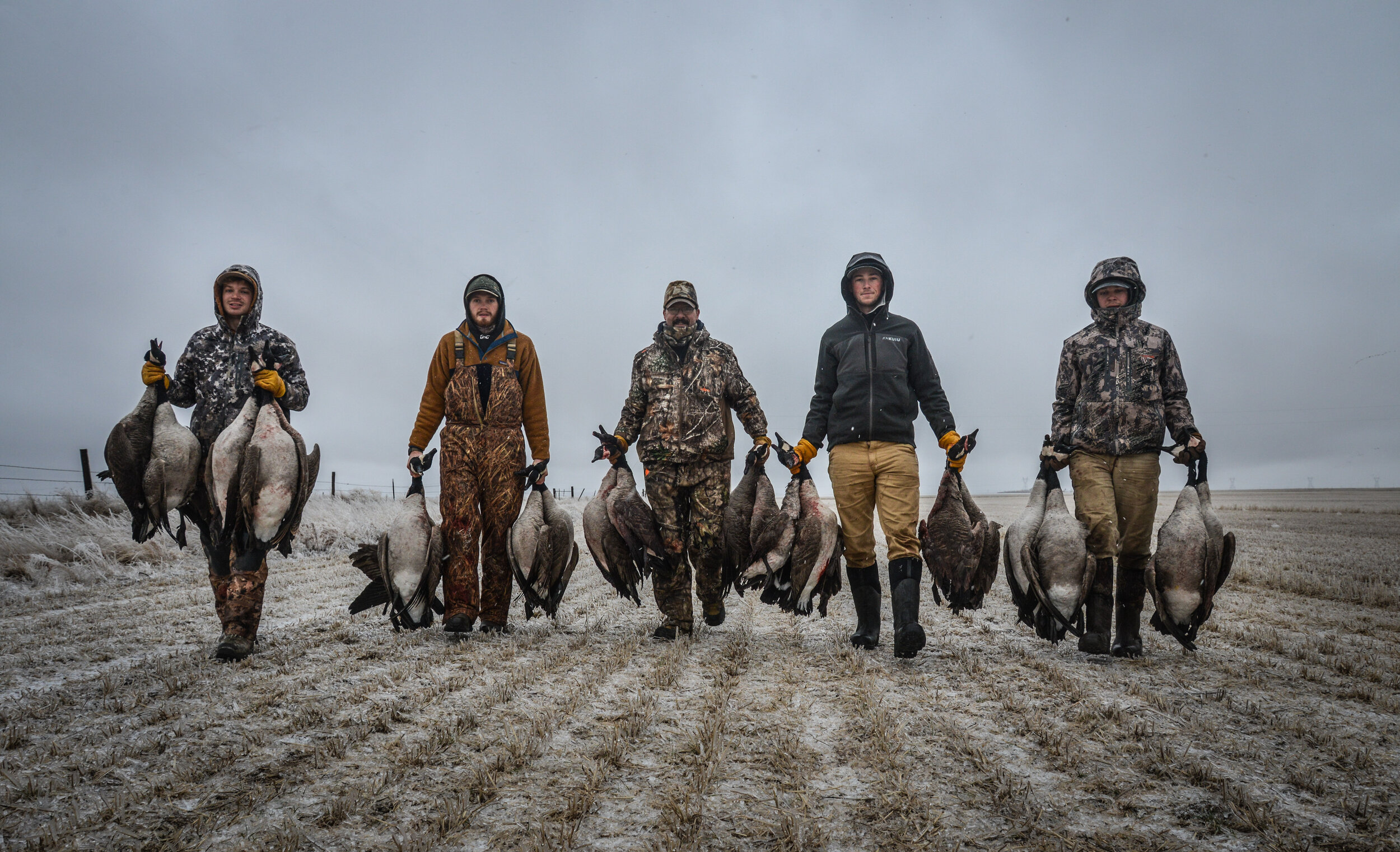 Waterfowl — Montana Upland Outfitters