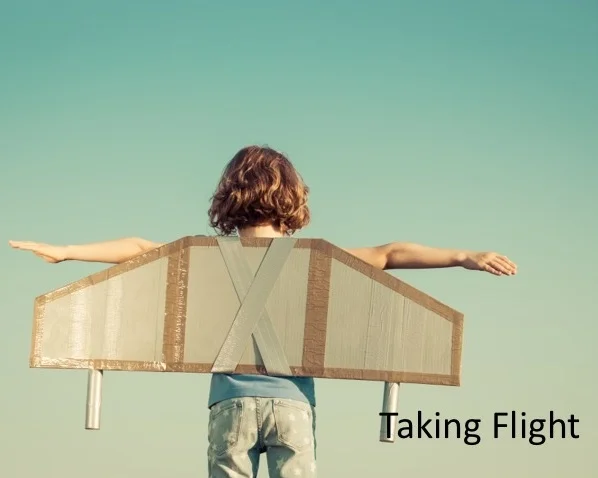 Vision: Taking Flight