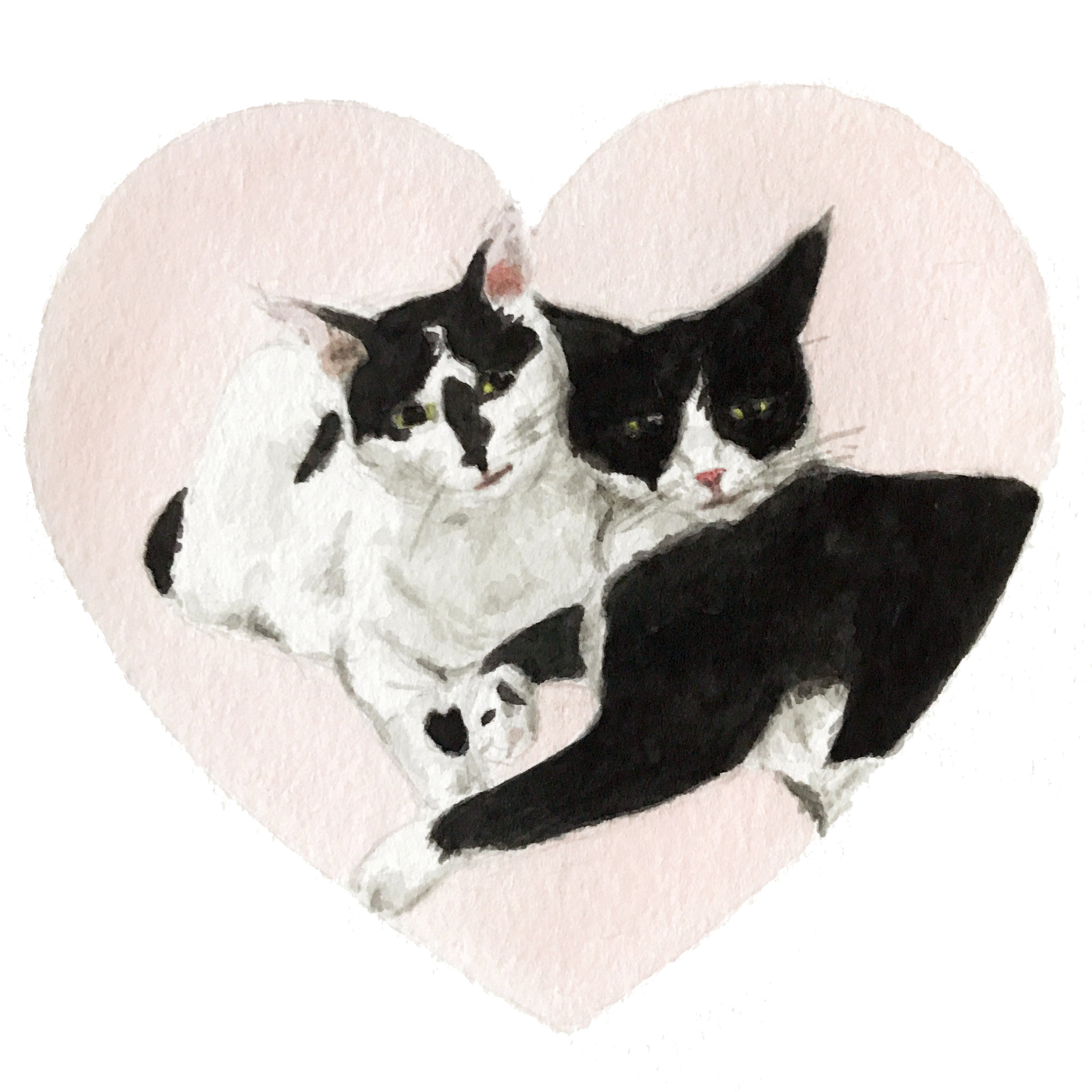 Love, Alfie and Matchka