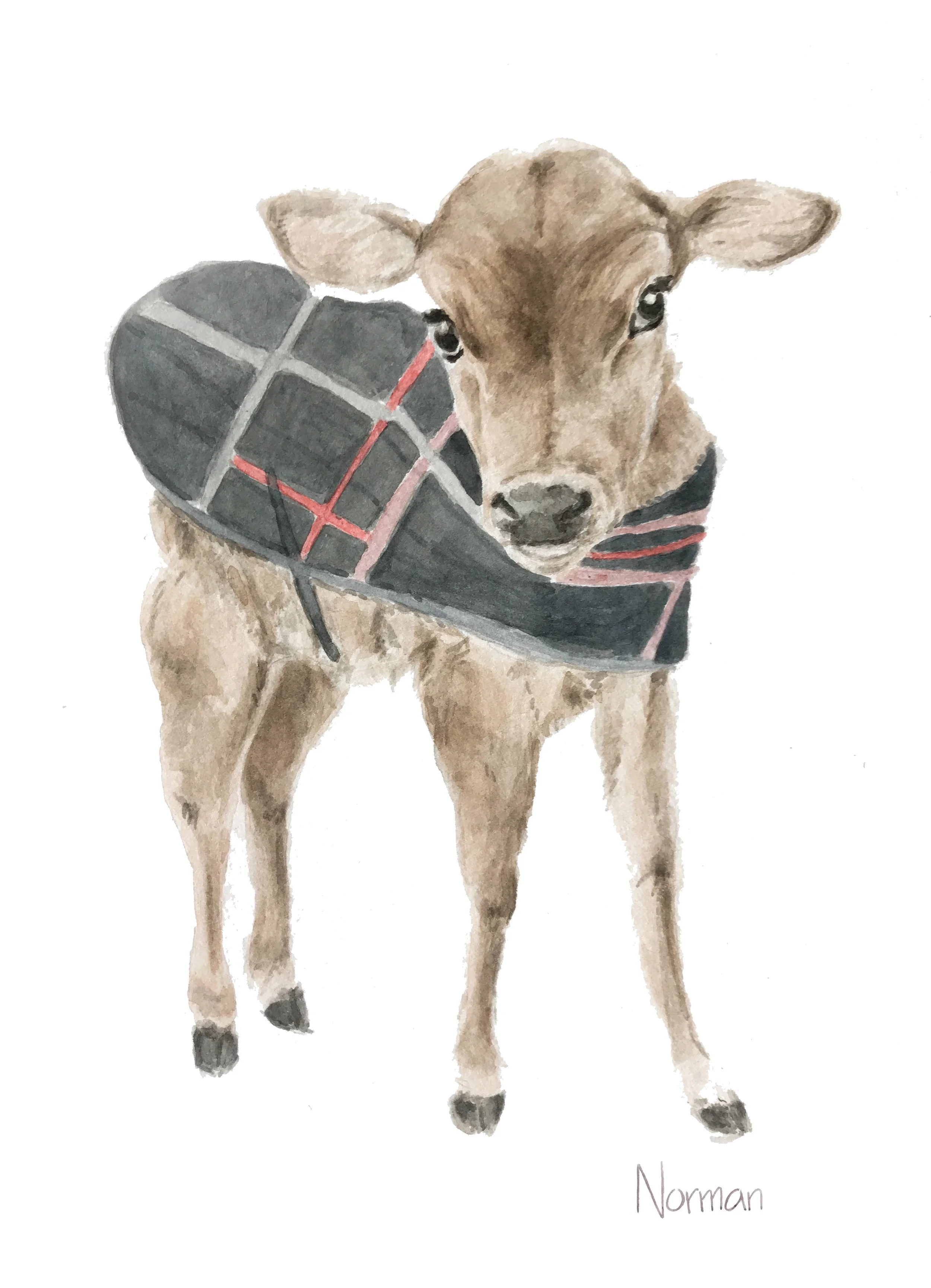 Norman in his Coat