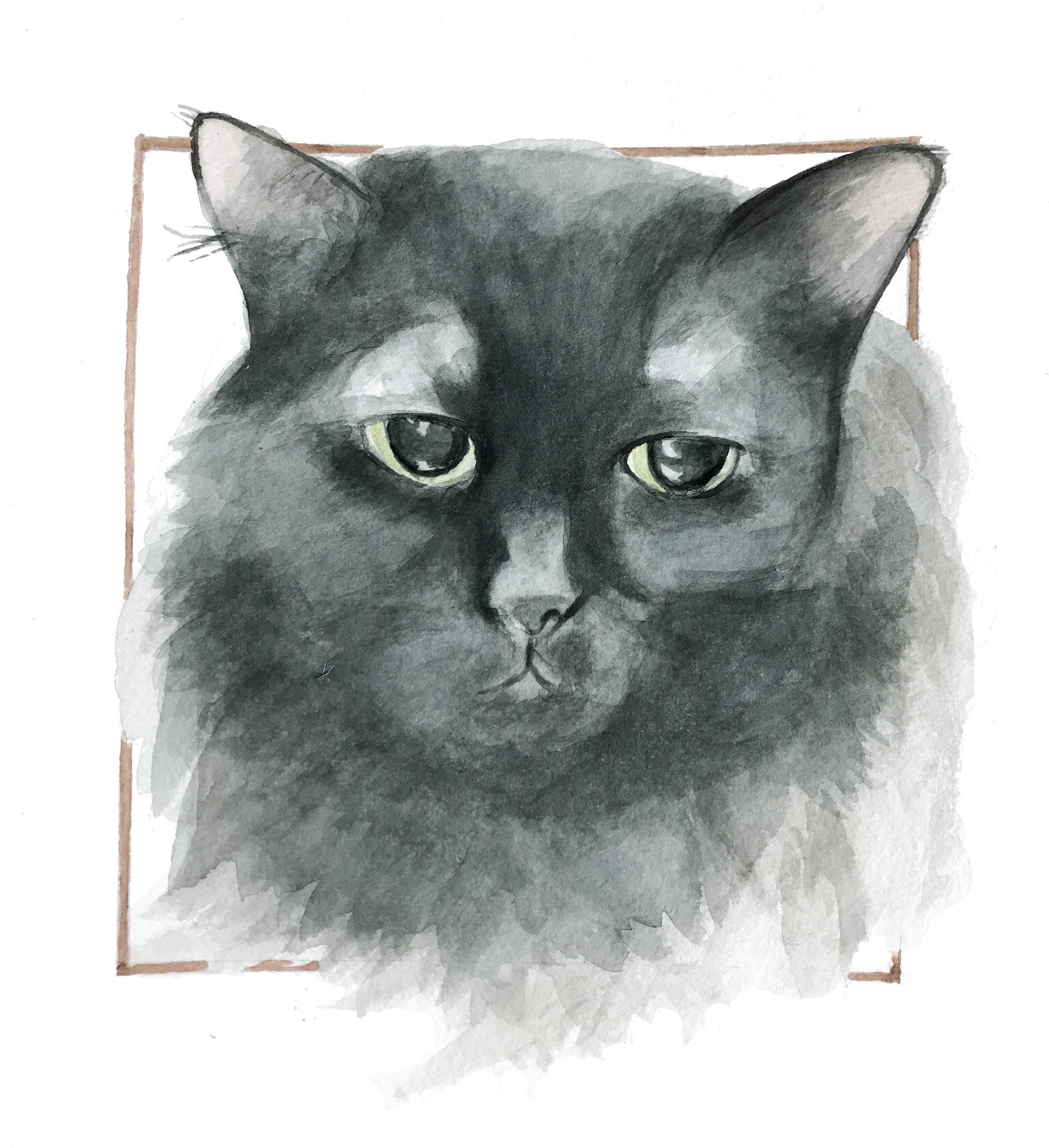 Licorice