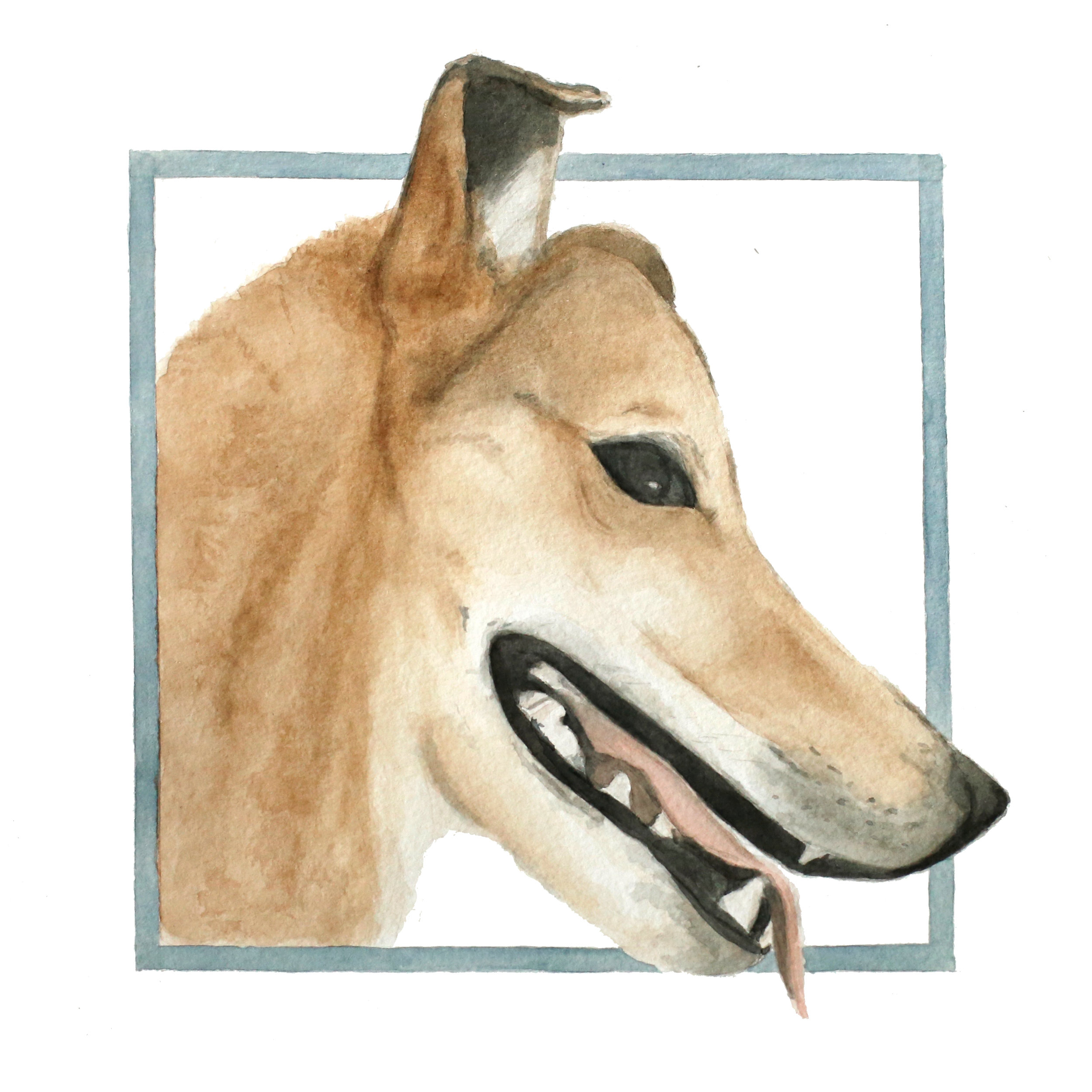 Sam