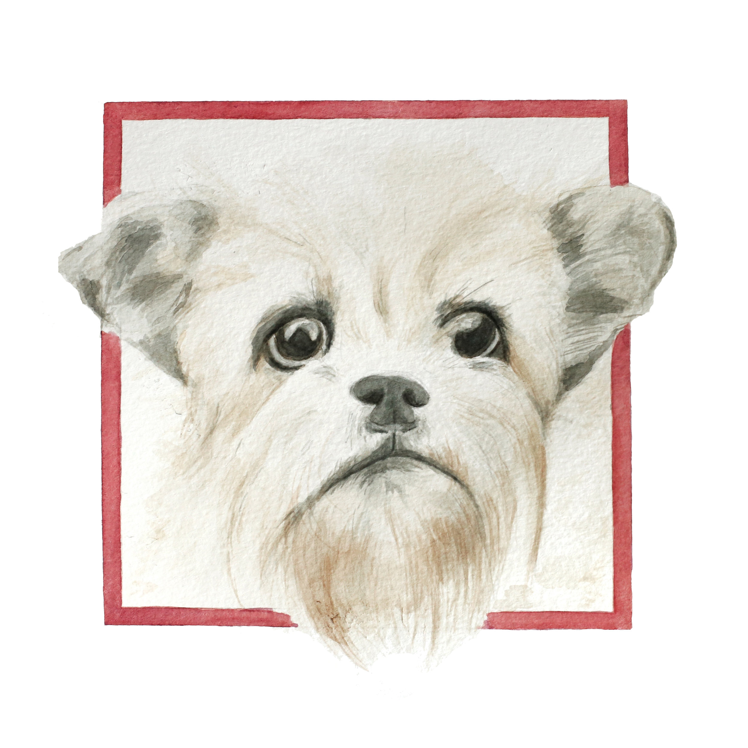 Elvis