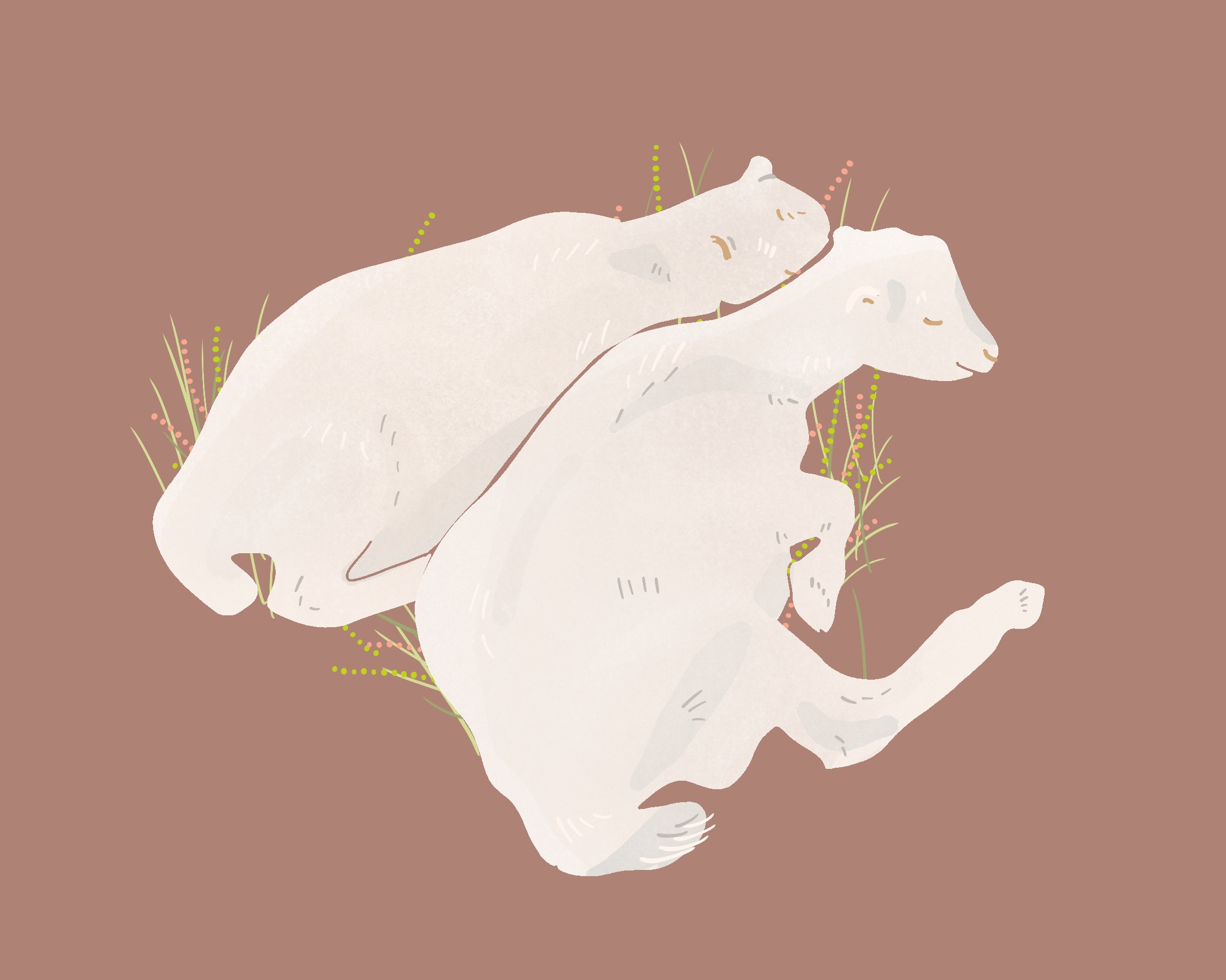 BabyPolarBears.jpg