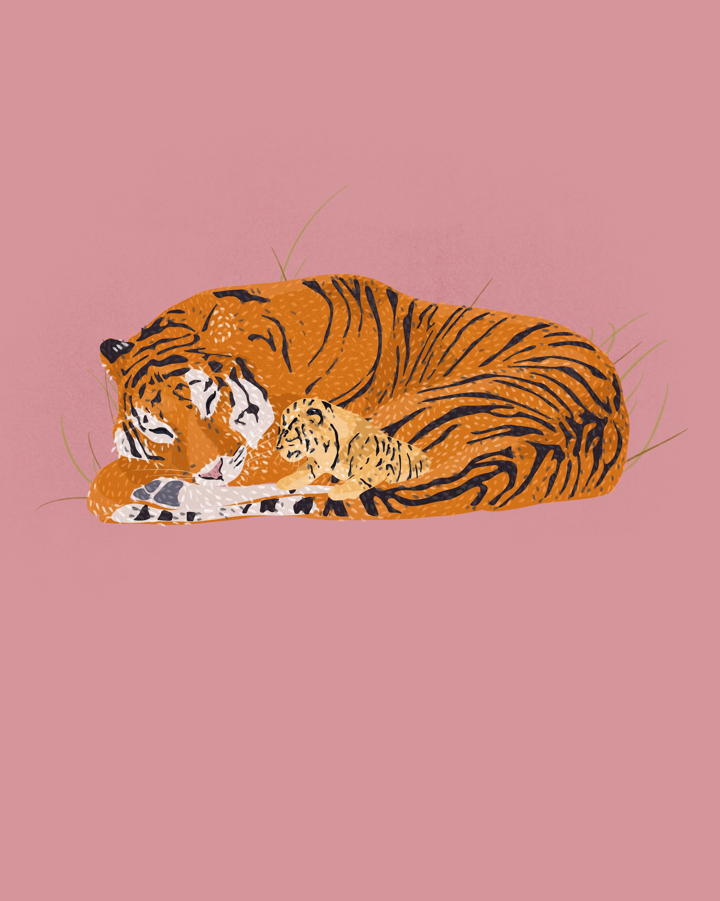 IMG_0269.png