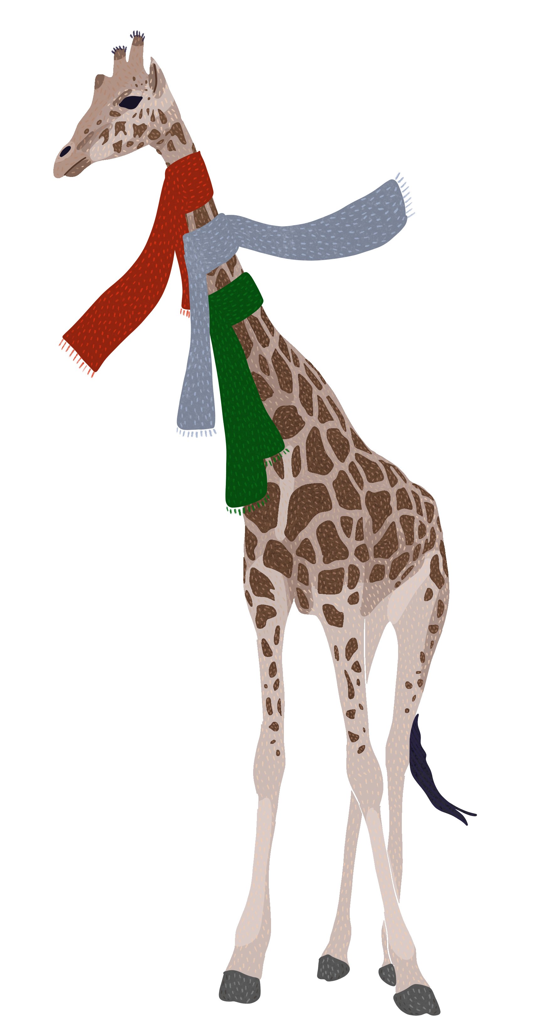 Giraffe.jpg