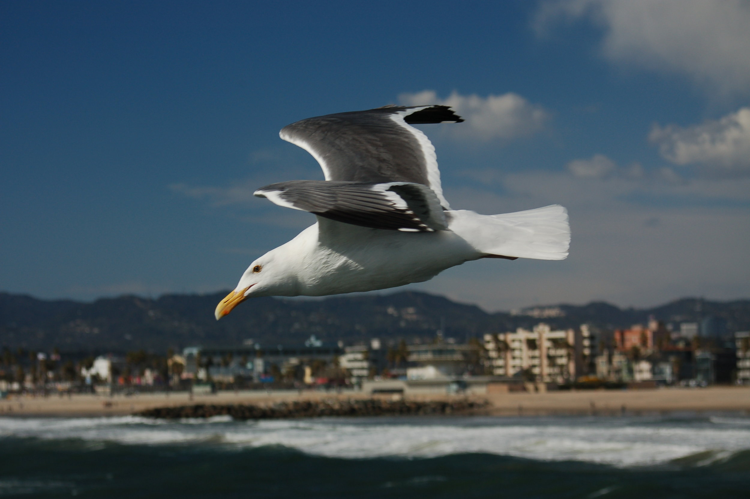 MSI - LA-Vegas Drive 162.jpg