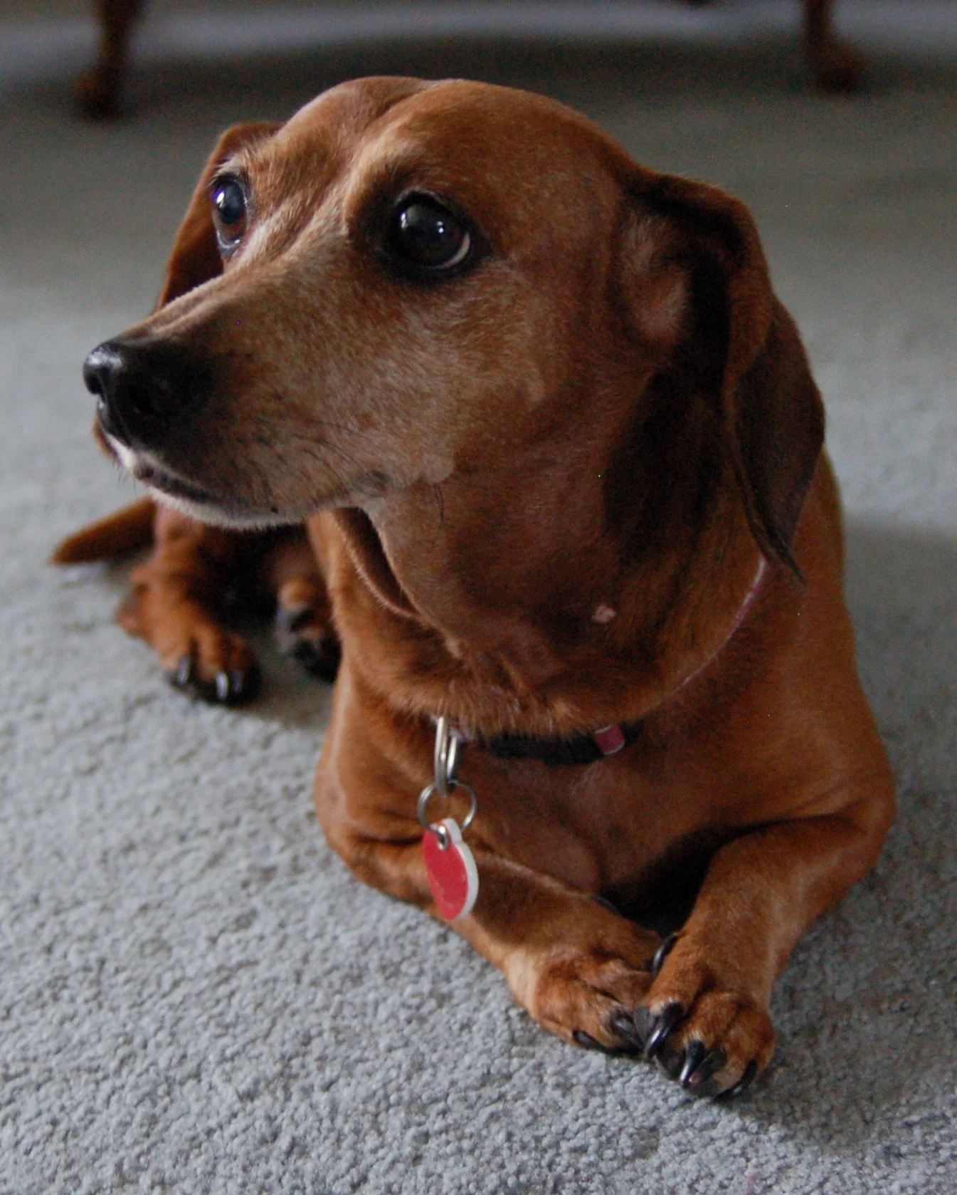 Houston Visit-16.jpg