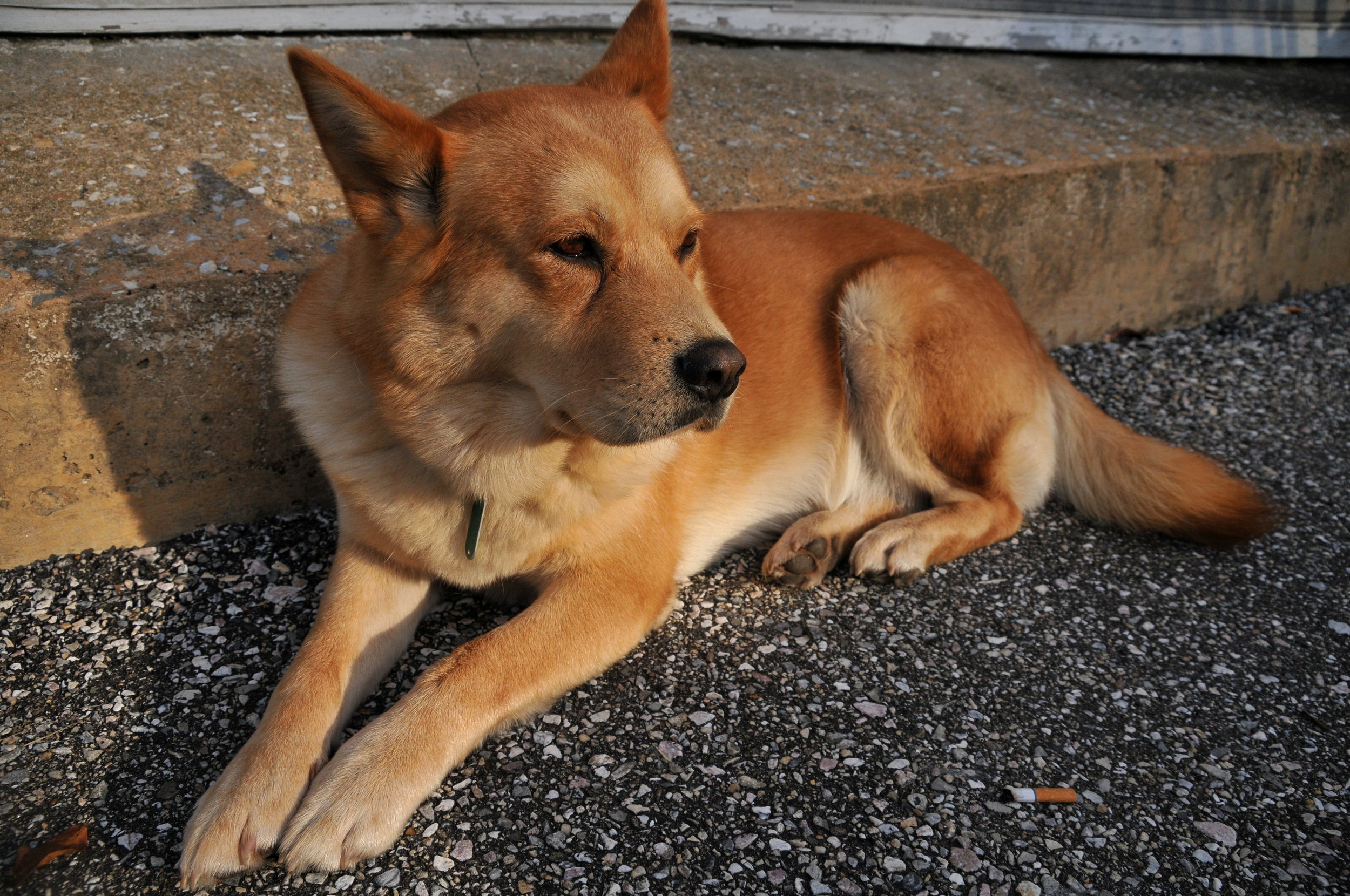 Misc - MSI Stuff 052.jpg