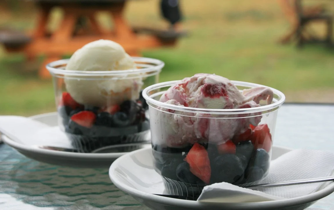 BrunyIsland_18_berries.jpg