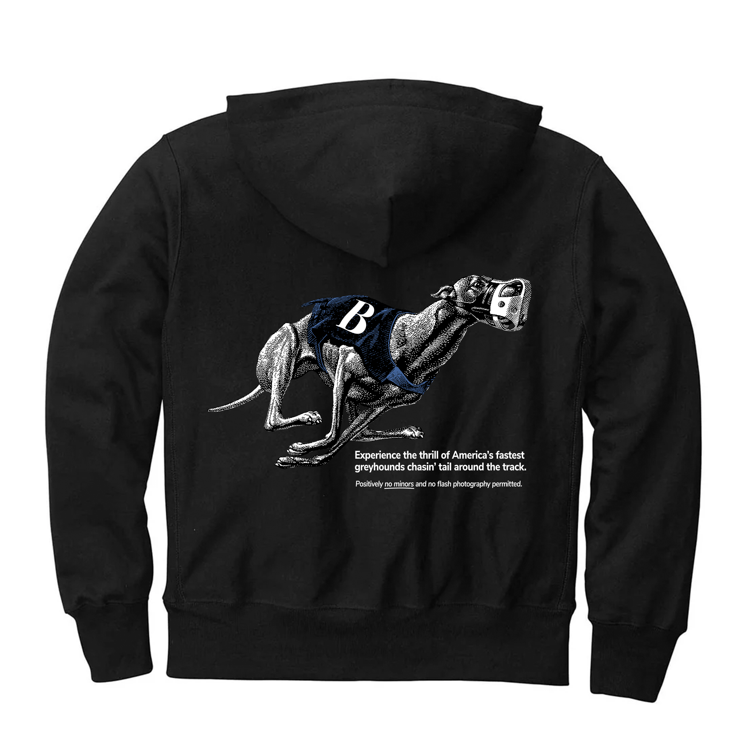 01-Hoodie-Back.png