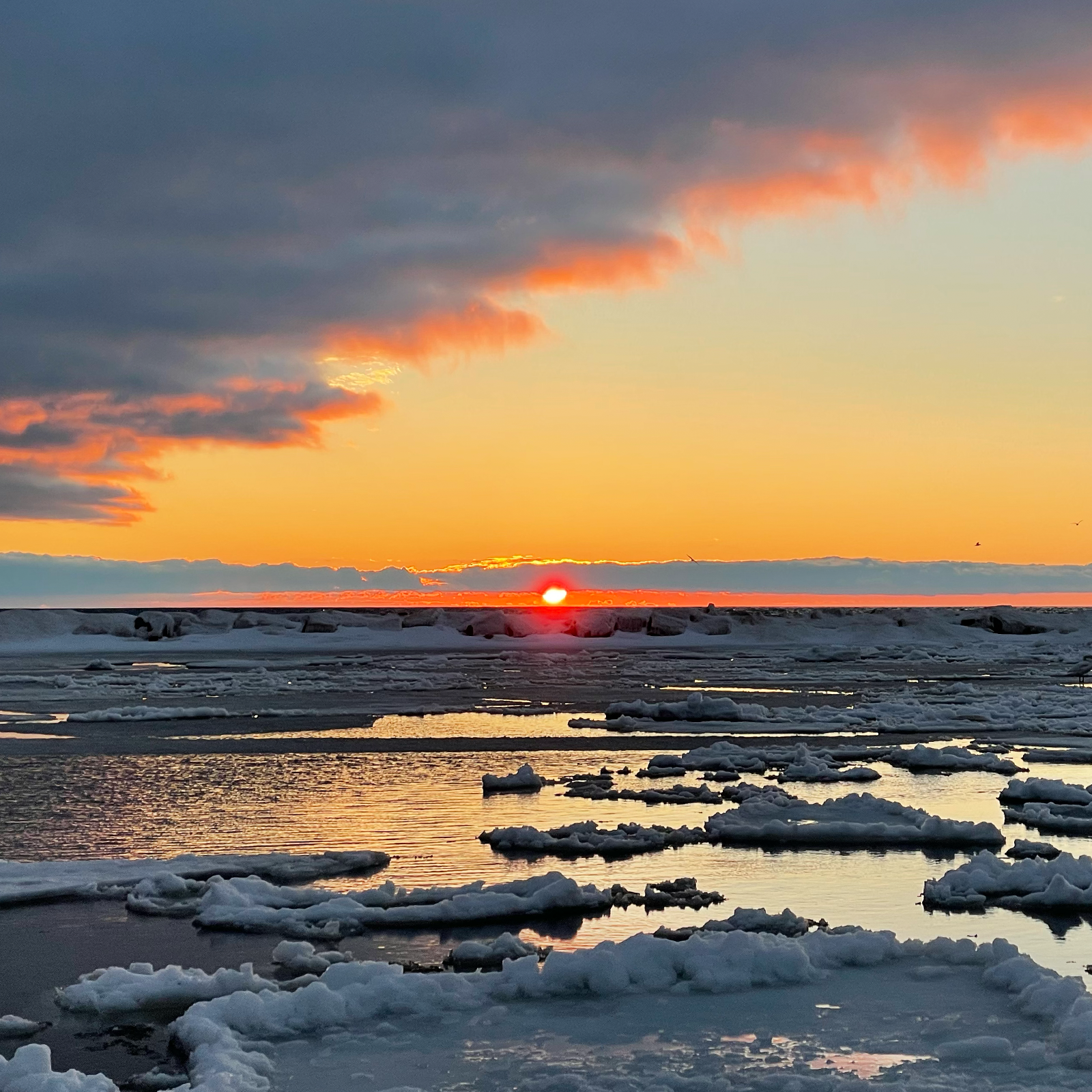 Red Arrow Photo album WinterWaterSunset.png