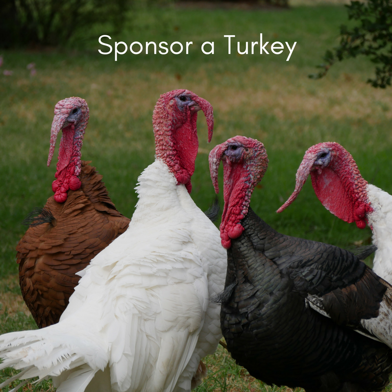 Sponsor a Turkey