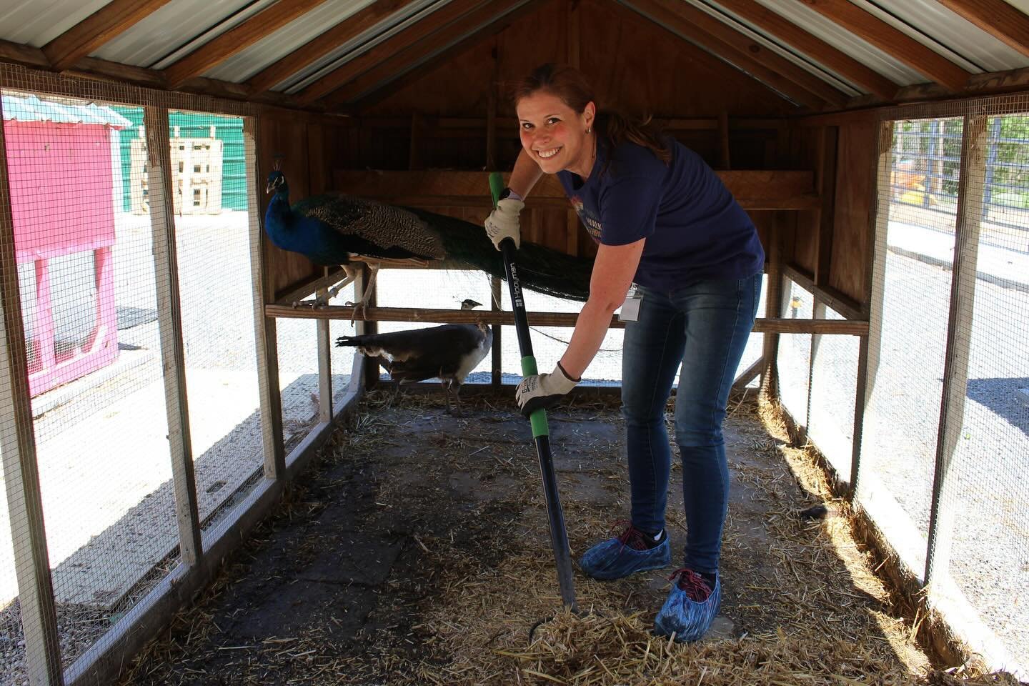 #HappyEarthDay! Thank you to @earthsharenc for their continued partnership with Carolina Waterfowl Rescue. Around Earth Day every year, Earth Share works to match up environmental nonprofits with local companies for a give back day. This year, team m