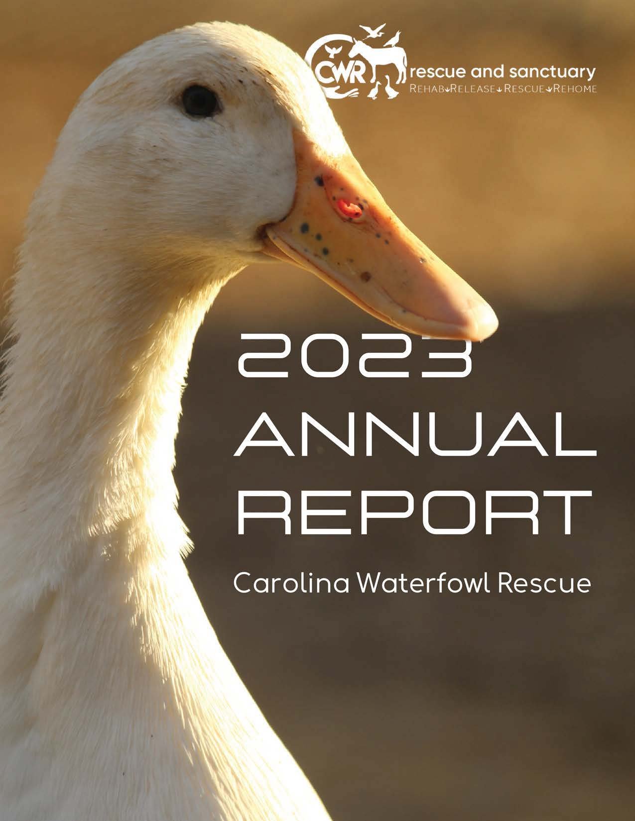 CWR 2023 Annual Report - compressed_Page_01.jpg