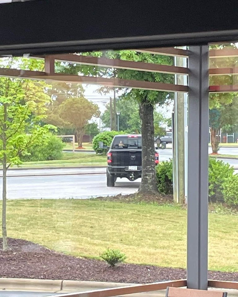 We have received the following information from someone in indian trail.  This is not our rescue or our volunteers.  Please help us find who this person is.  There is a sticker on the back of the truck. 

Couldn&rsquo;t get a good pic as they sped aw