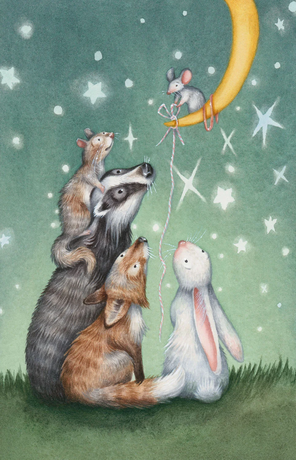 The Little Star Catcher