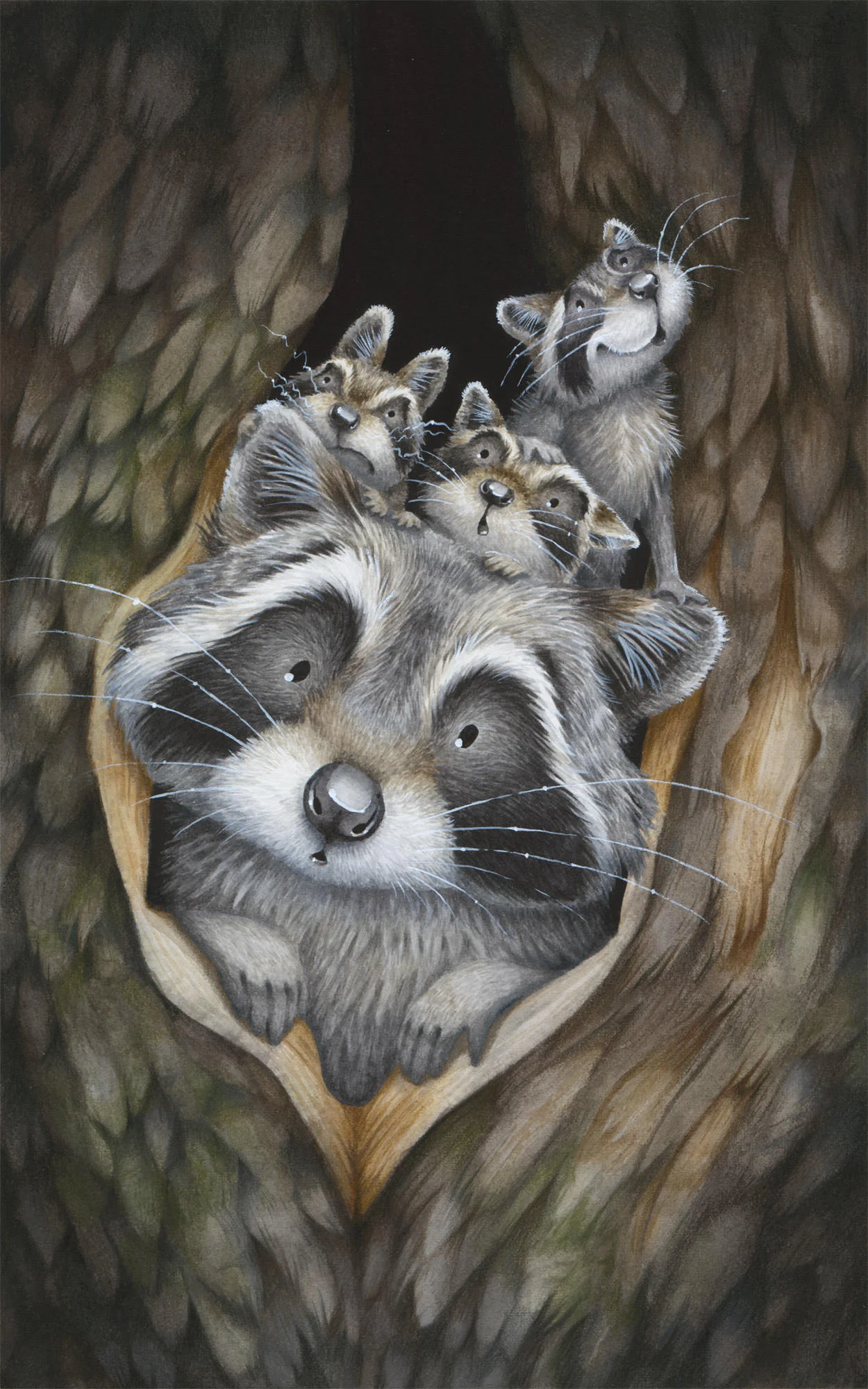 Raccoons' First Outing