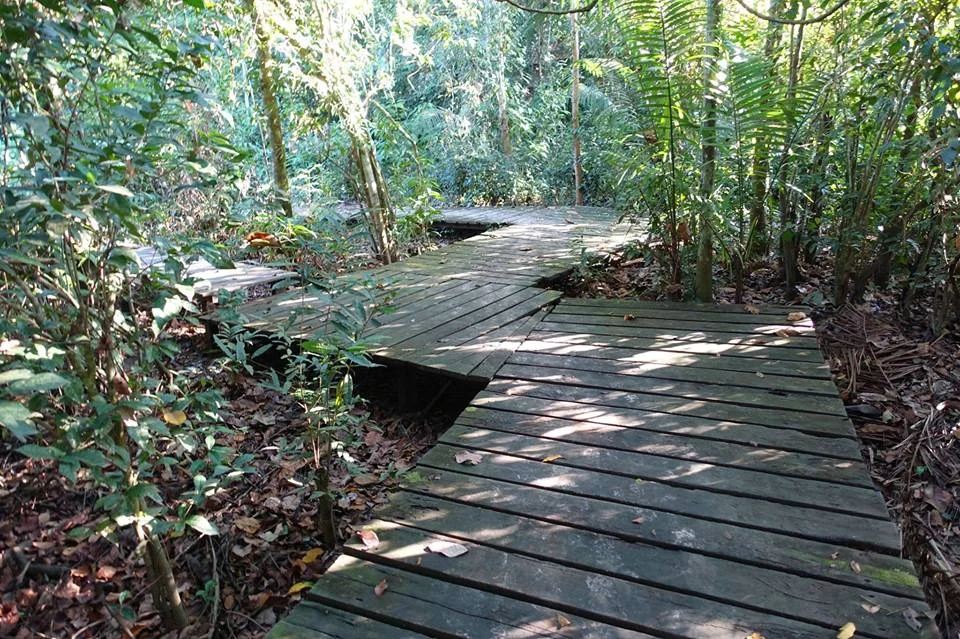 Nime Kaya path.jpg