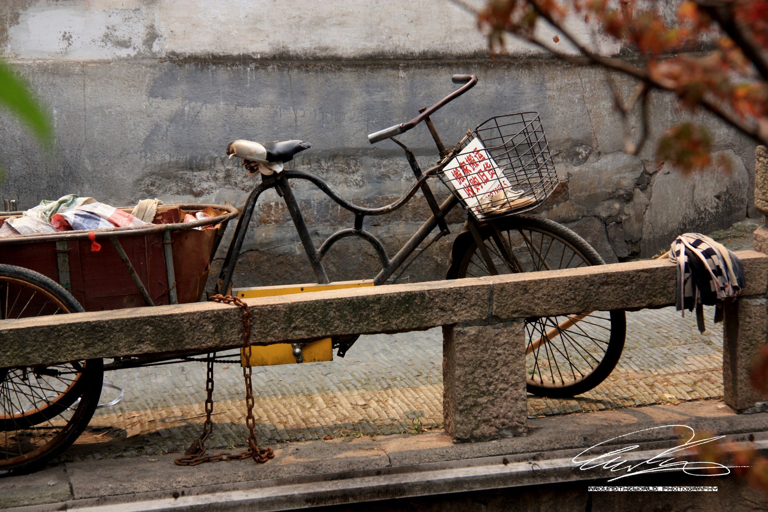 The Famous Chinese Bicycle