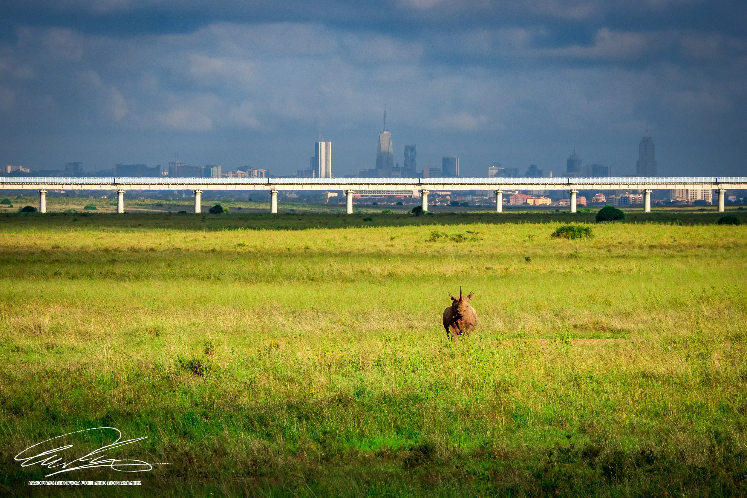 The Lone Star