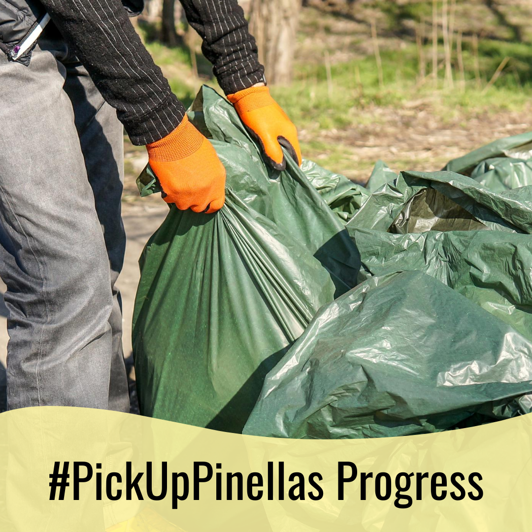 Celebrating Your Accomplishments Midway Through #PickUpPinellas