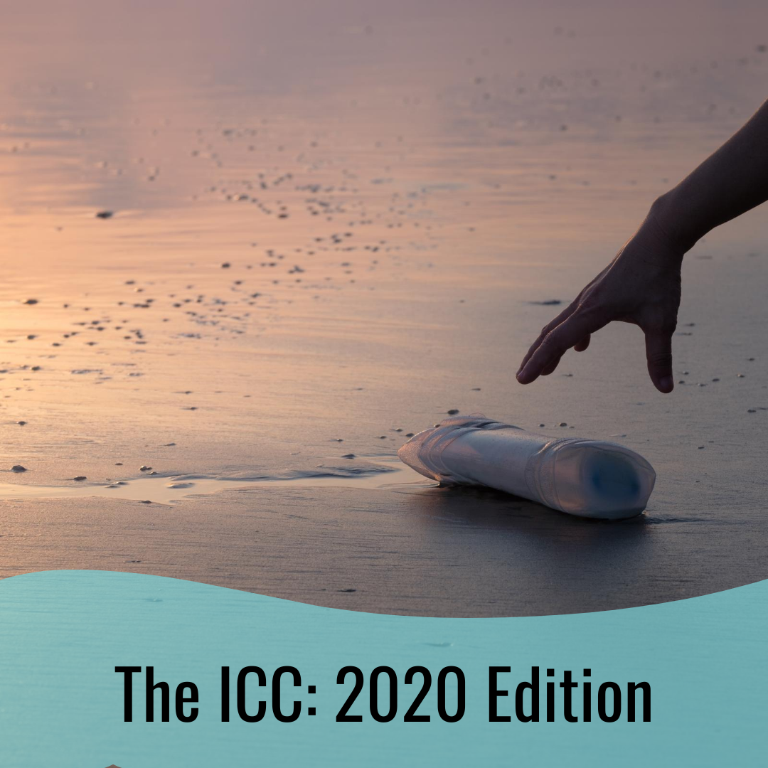 The ICC: 2020 Edition