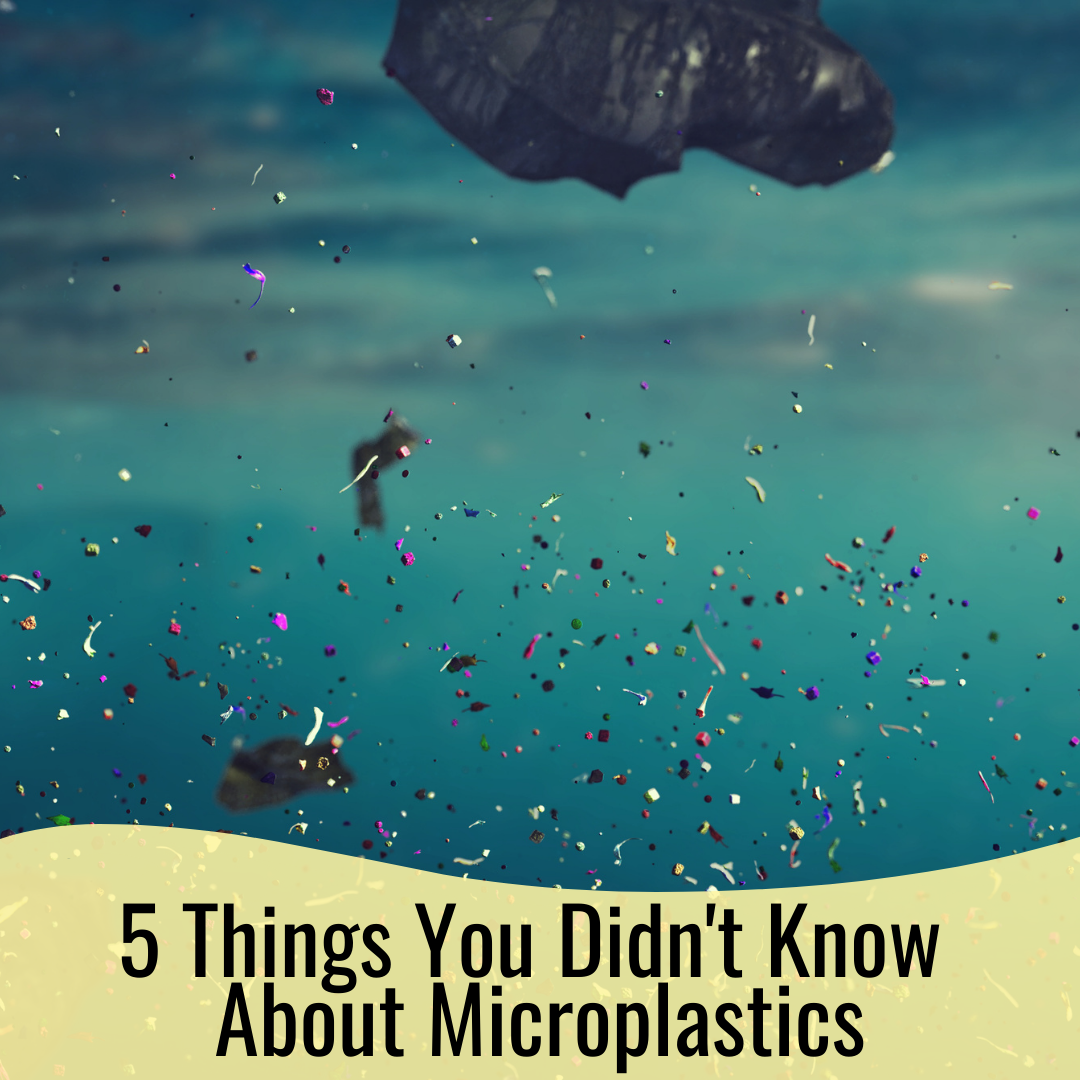 5 Things You Didn't Know About Microplastics