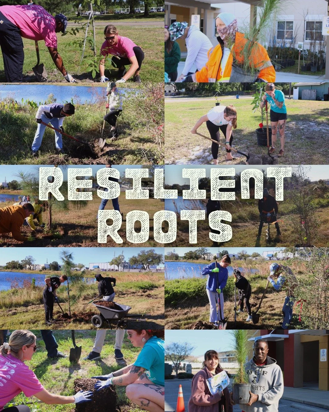 ✨ Be sure to register for our upcoming fall Resilient Root events! 🍂🌲
 
•	Resilient Roots: John S. Taylor Park Invasive Removal - Oct. 4th
•	Resilient Roots: Lake Seminole Park Cleanup - Oct. 18th
•	Resilient Roots: Fred Howard Par