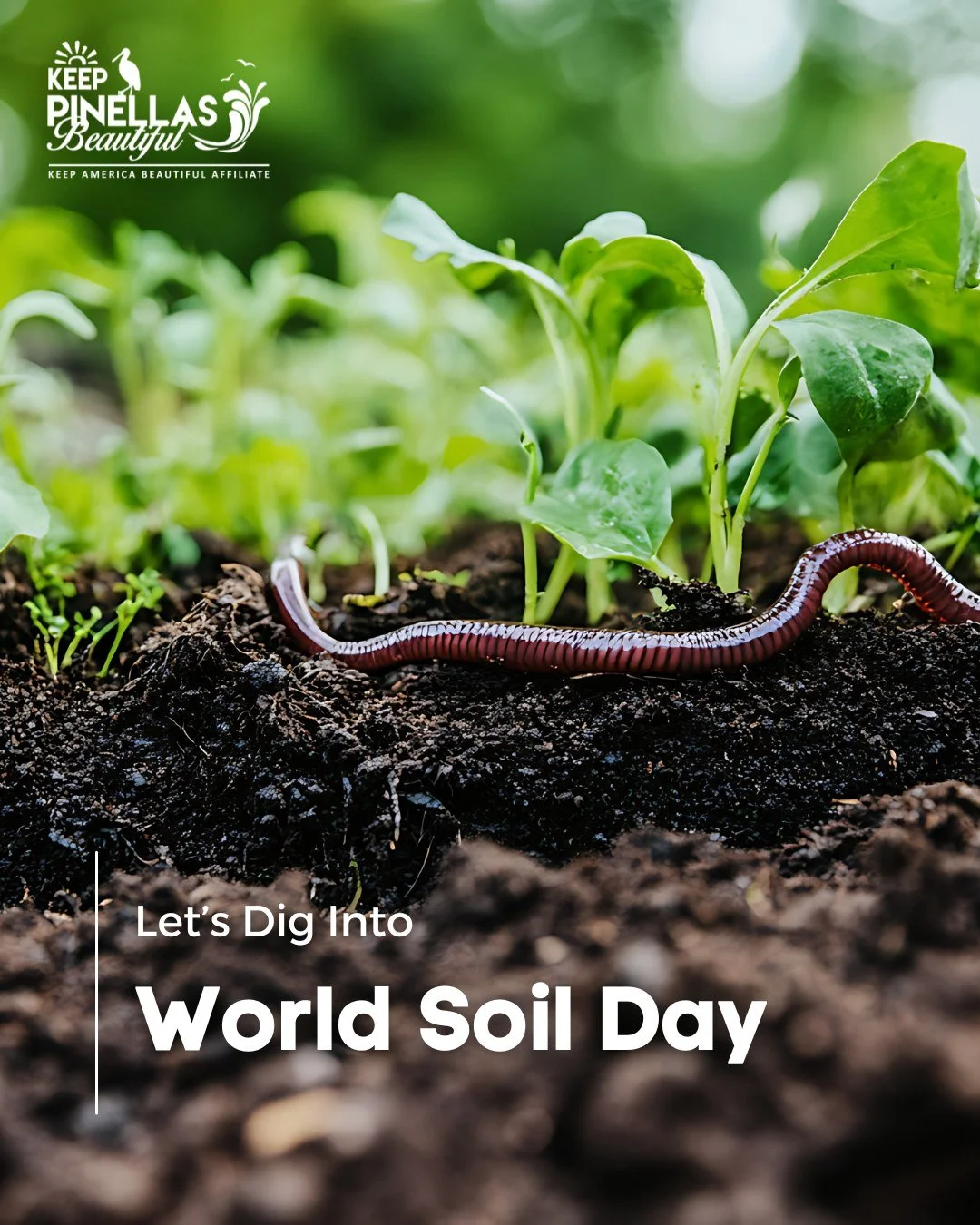 Join us in celebrating World Soil Day this week! Check out our new blog to learn why healthy soil is so important and what you can do to help 🌱

Link in bio!