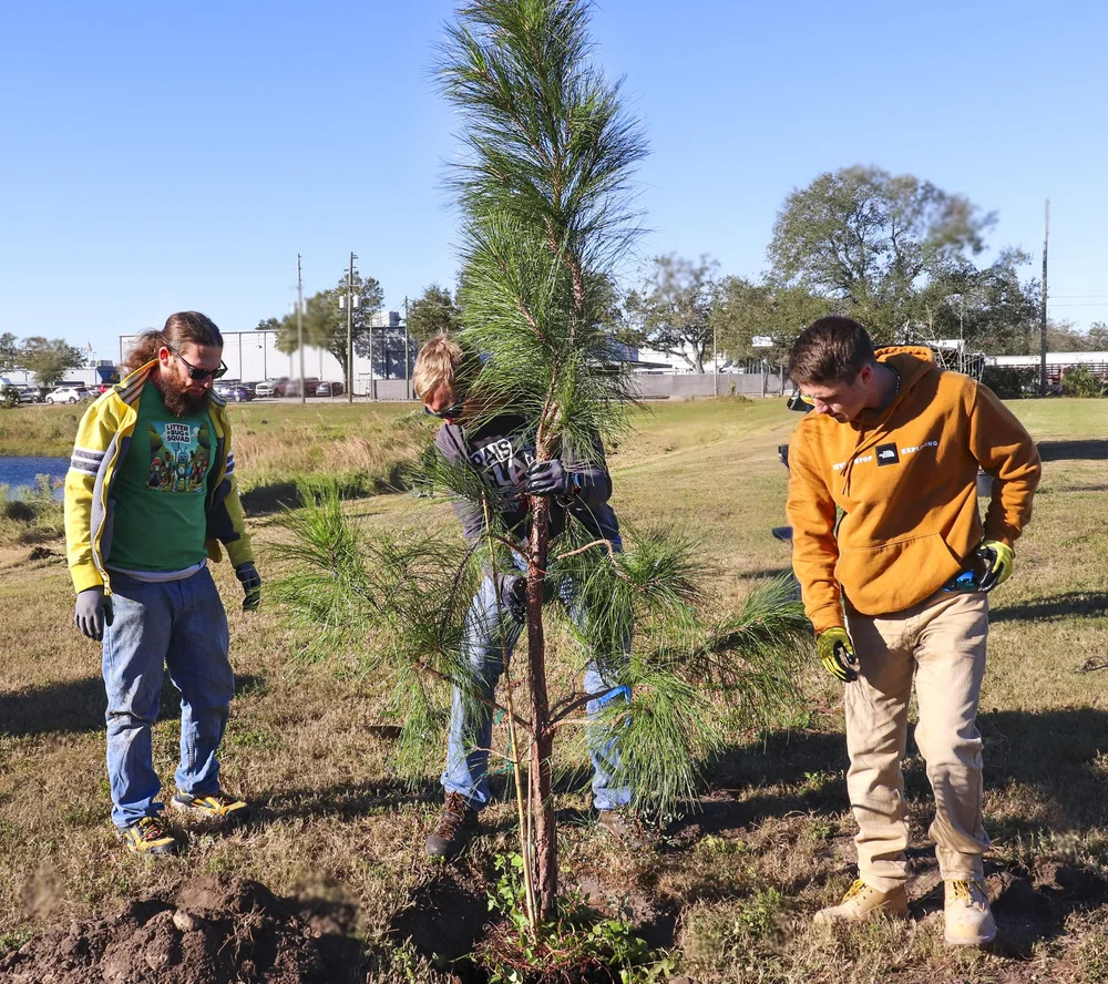Florida Arbor Day is Rooted in Resilience — Keep Pinellas Beautiful