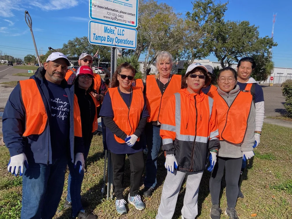 Volunteers planting trees in a park