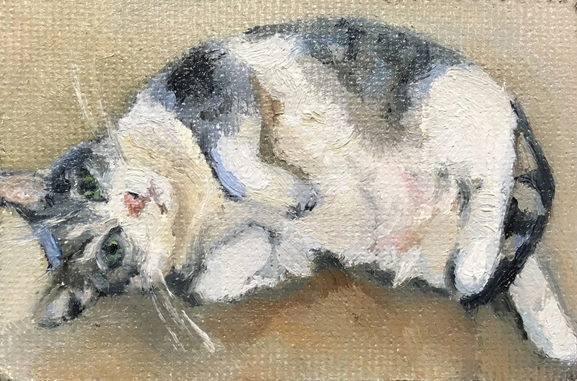 Marmalade