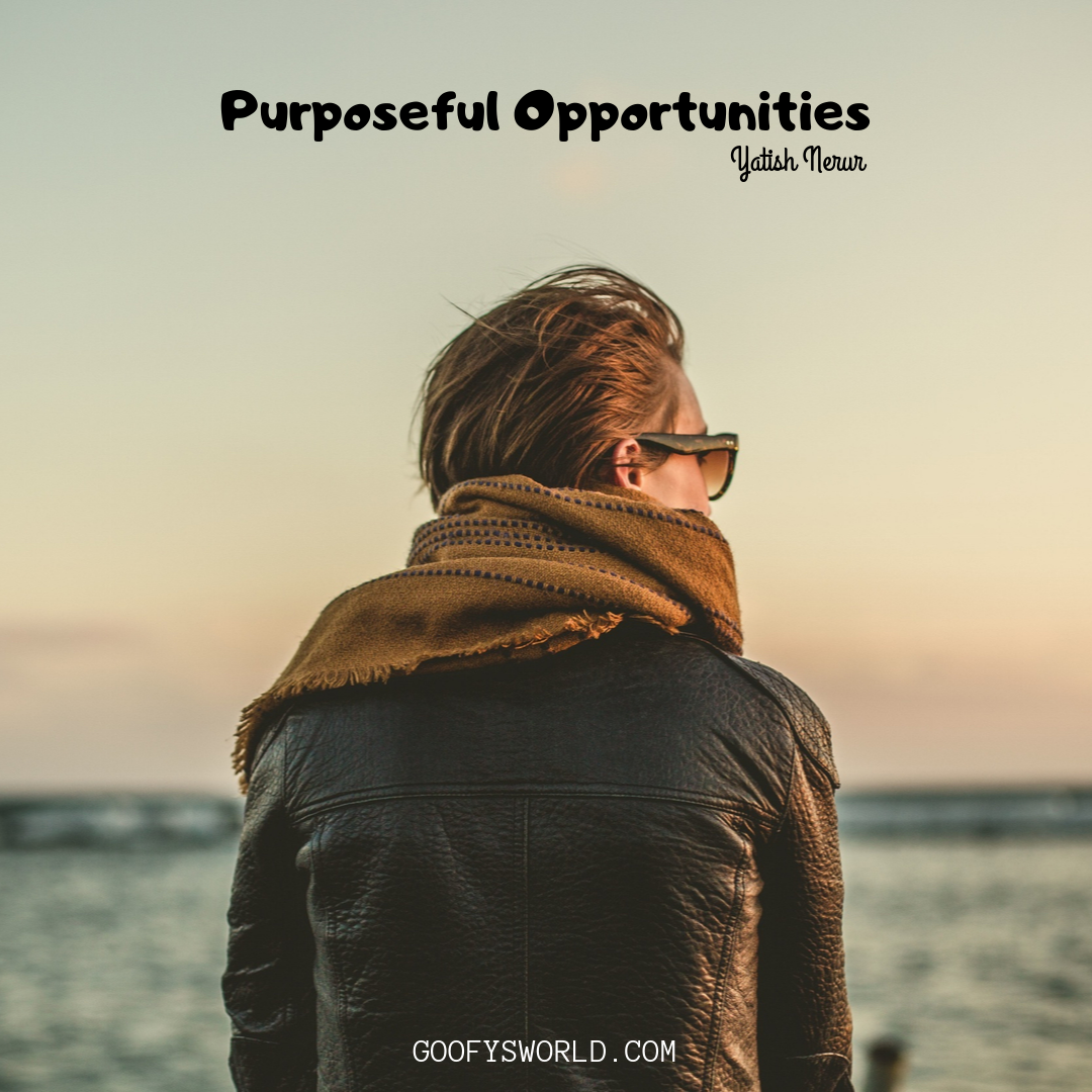 Purposeful Opportunities.png