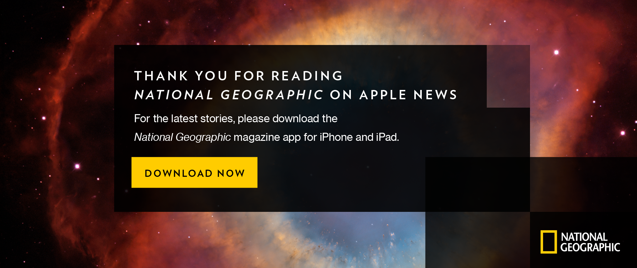 AppleNews_iPad_landscape.png