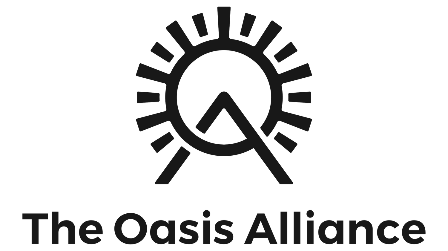 The Oasis Alliance aligns with Hyundai and Annie Leibovitz through ...