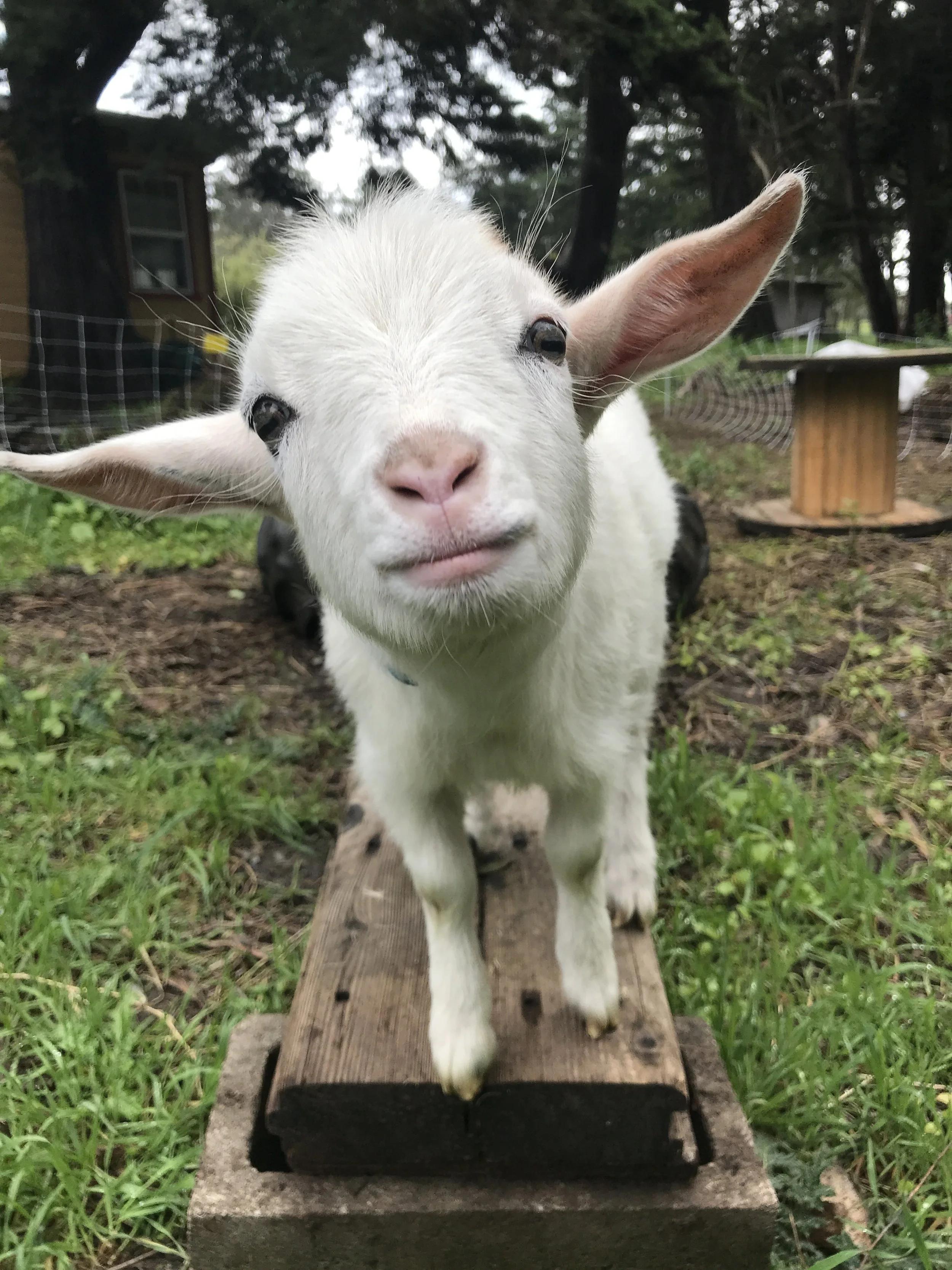 Spring Newsletter