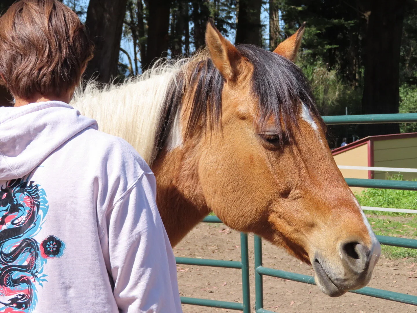 Spring Newsletter 2021