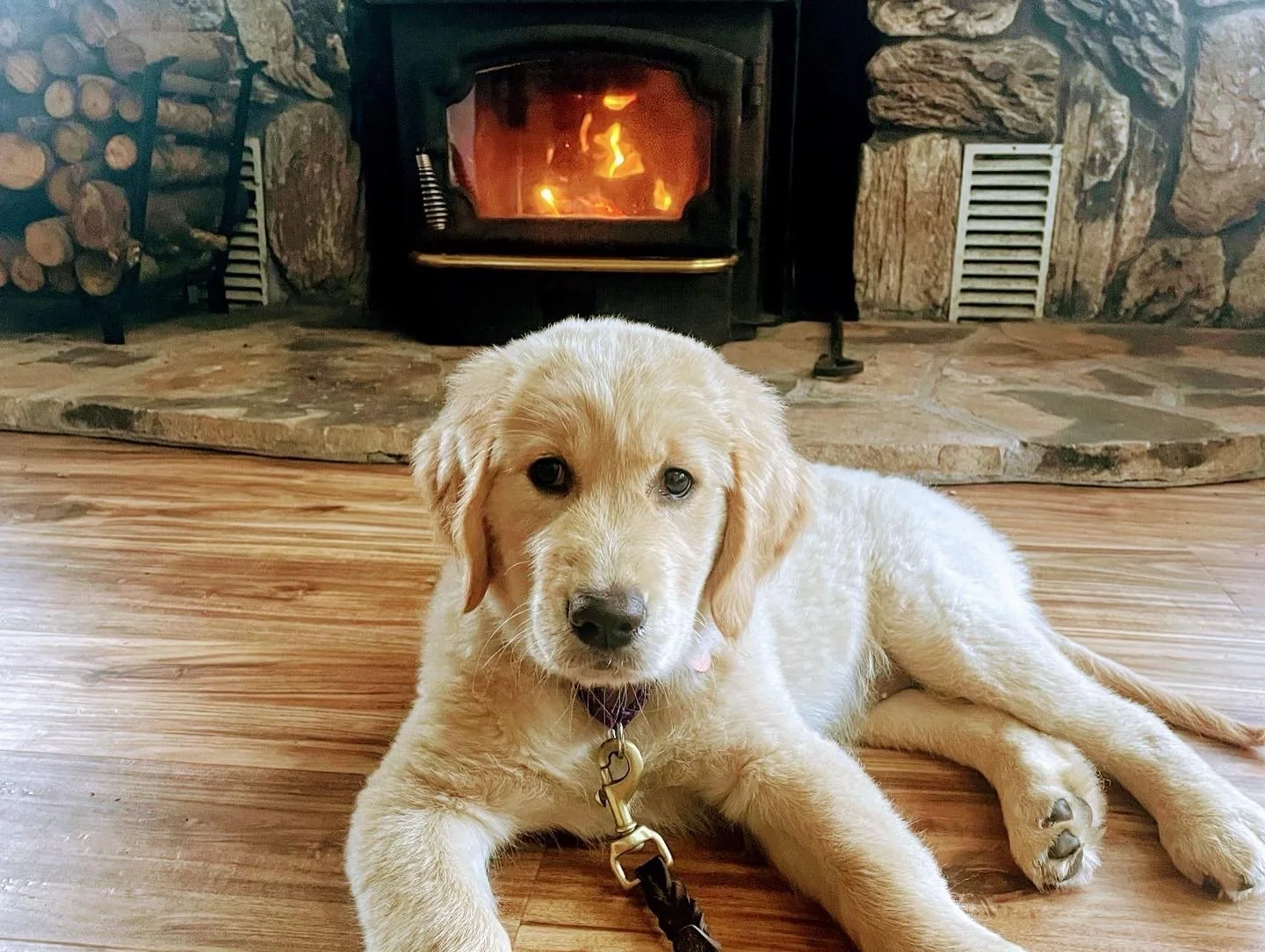 Winter Newsletter 2021-2022