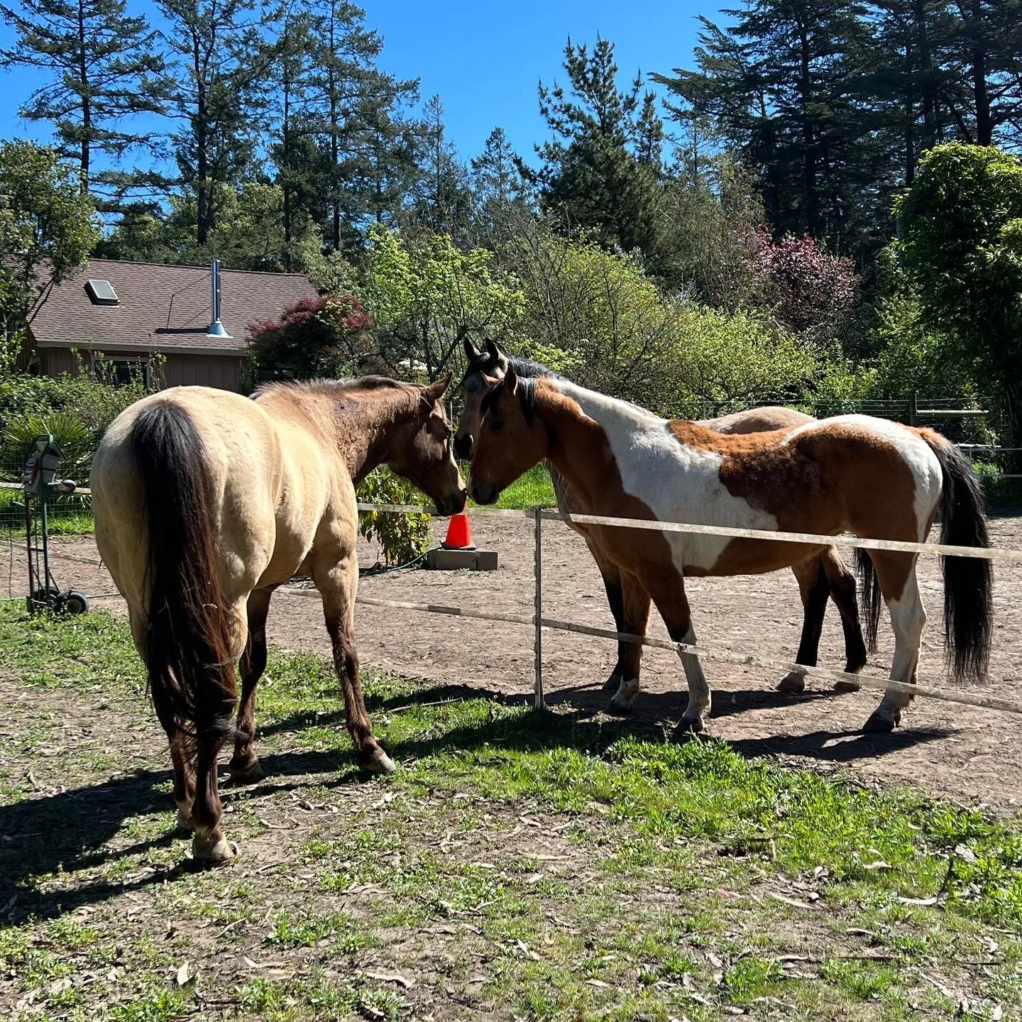 Spring Newsletter 2022