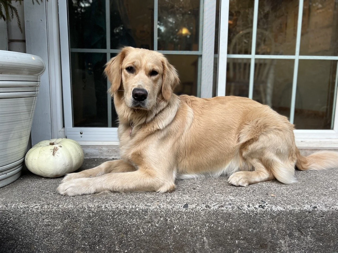 Fall Newsletter 2022