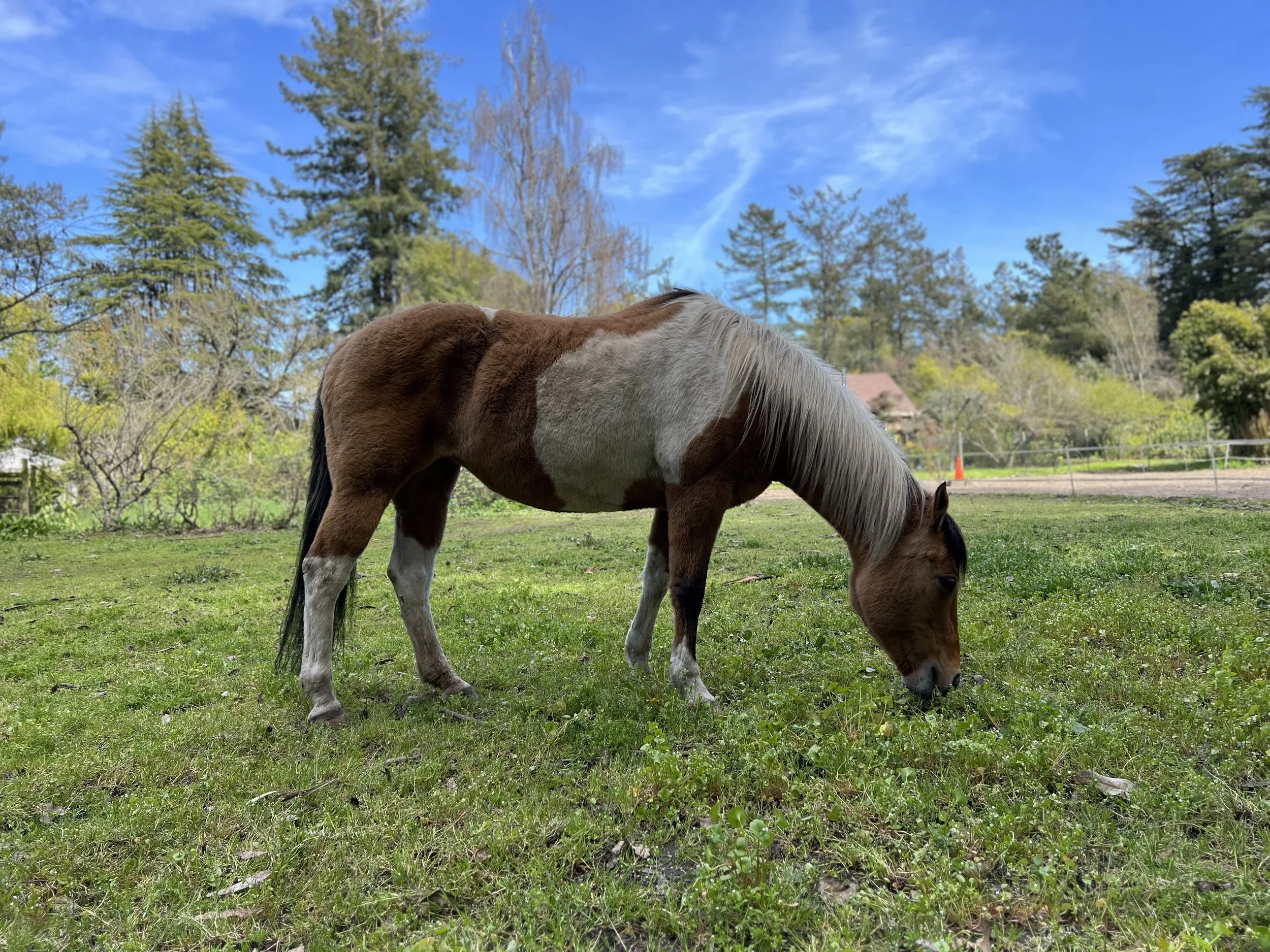 Spring Newsletter 2023