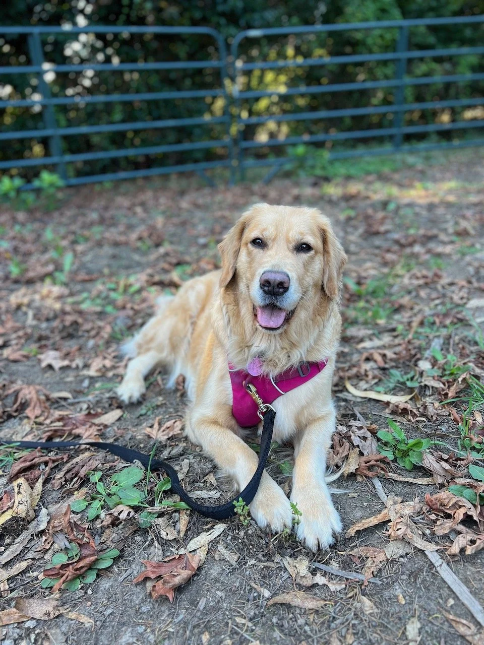 Fall Newsletter 2023